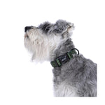 DOOG Neosport Neoprene Dog Collar