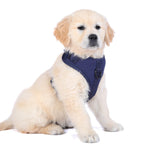 DOOG Neosport Neoprene Soft Harness