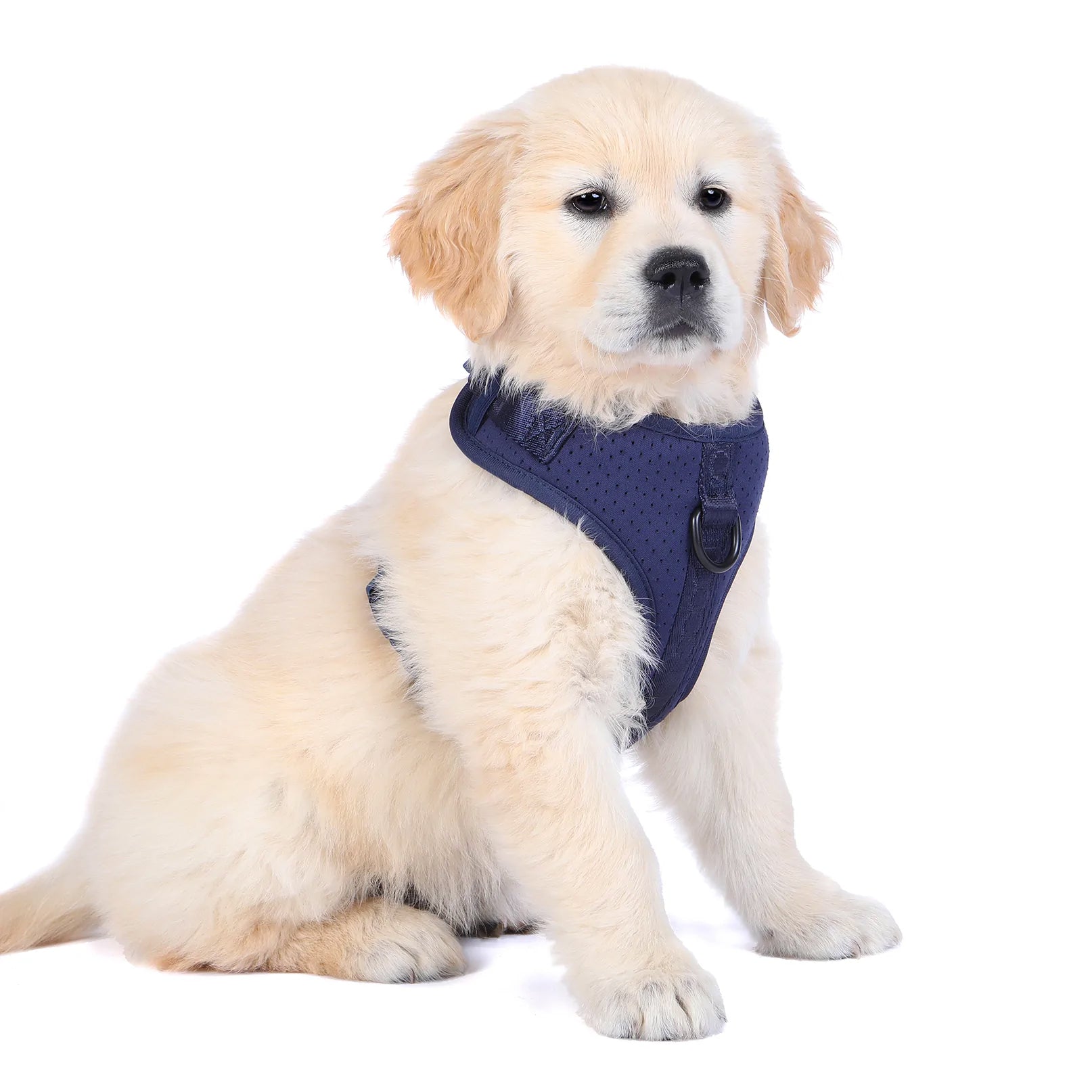 DOOG Neosport Neoprene Soft Harness