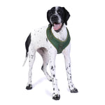 DOOG Neosport Neoprene Soft Harness