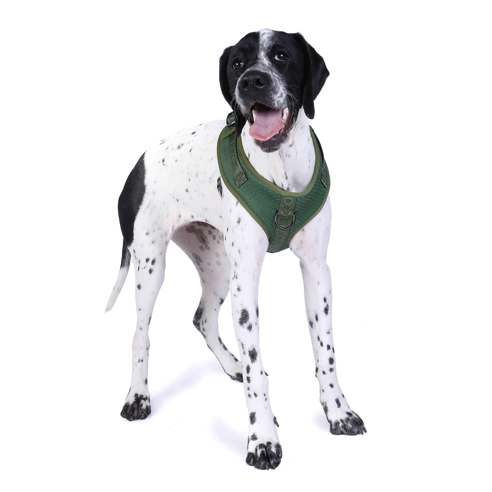 DOOG Neosport Neoprene Soft Harness