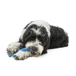 West Paw Drifty Fetch Dog Toy