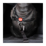 EzyDog Drive Car Booster Seat