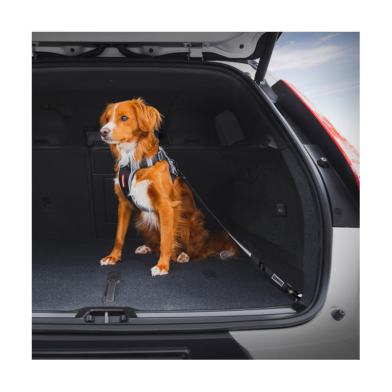 HDP Car Dog Harness & Safety Seat Belt Travel Gear