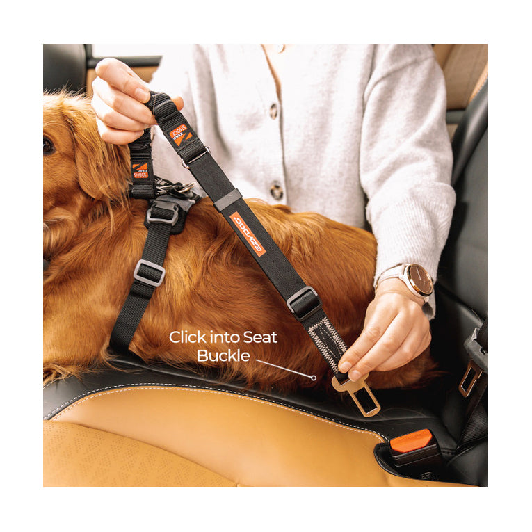 EzyDog Click Dog Seat Belt - Zero Shock