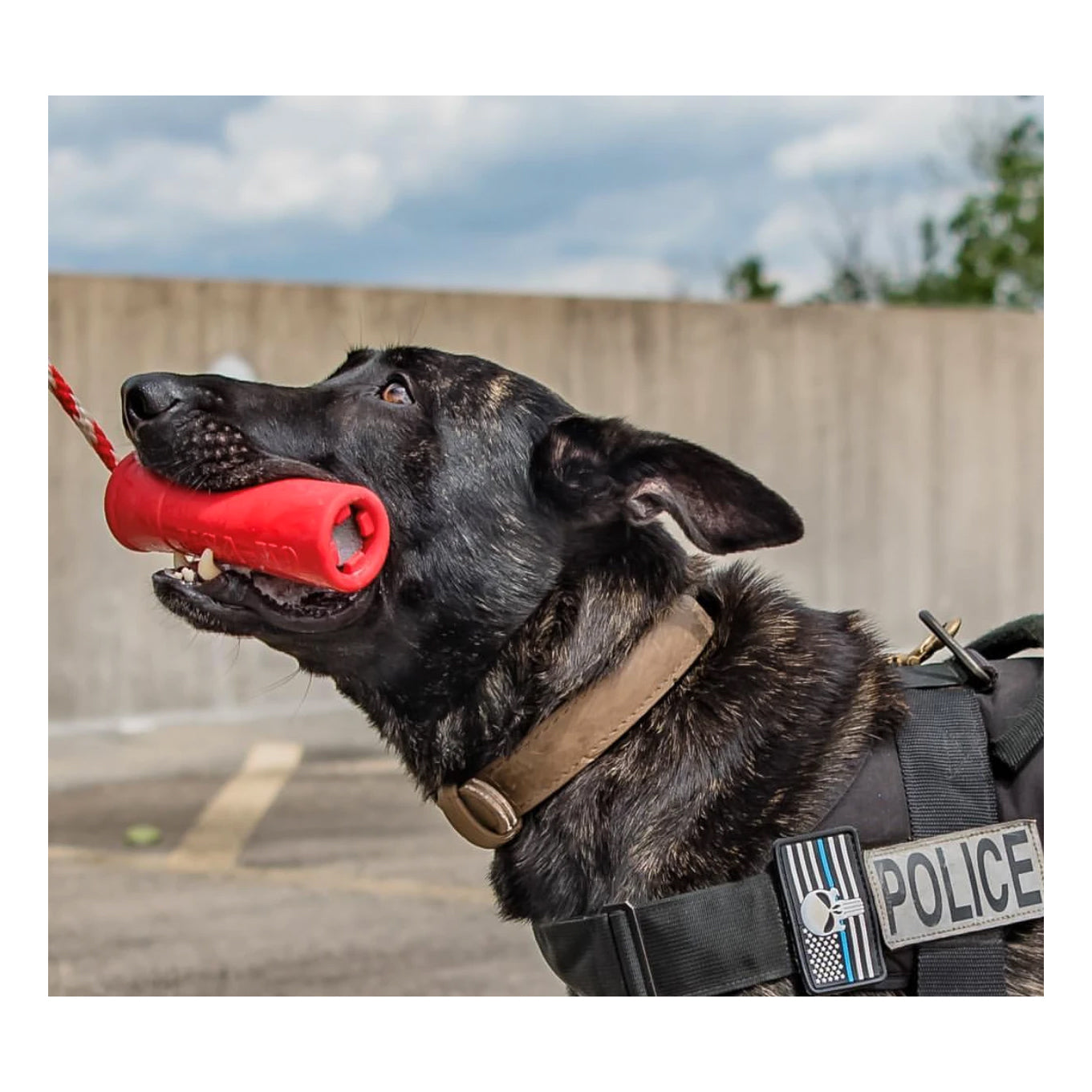 USA-K9 Firecracker Training Dummy - Large