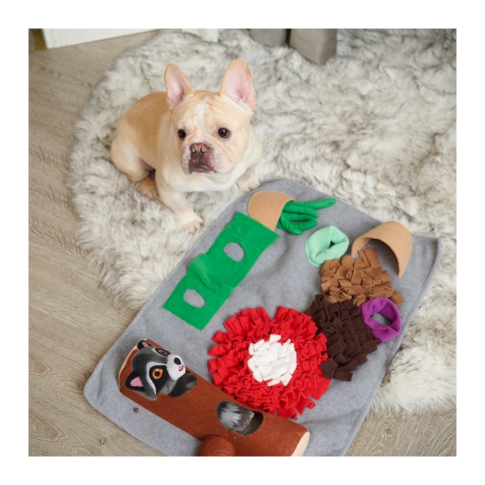 All For Paws Dig It! Fluffy Play &amp; Treat Mat with Racoon Toy