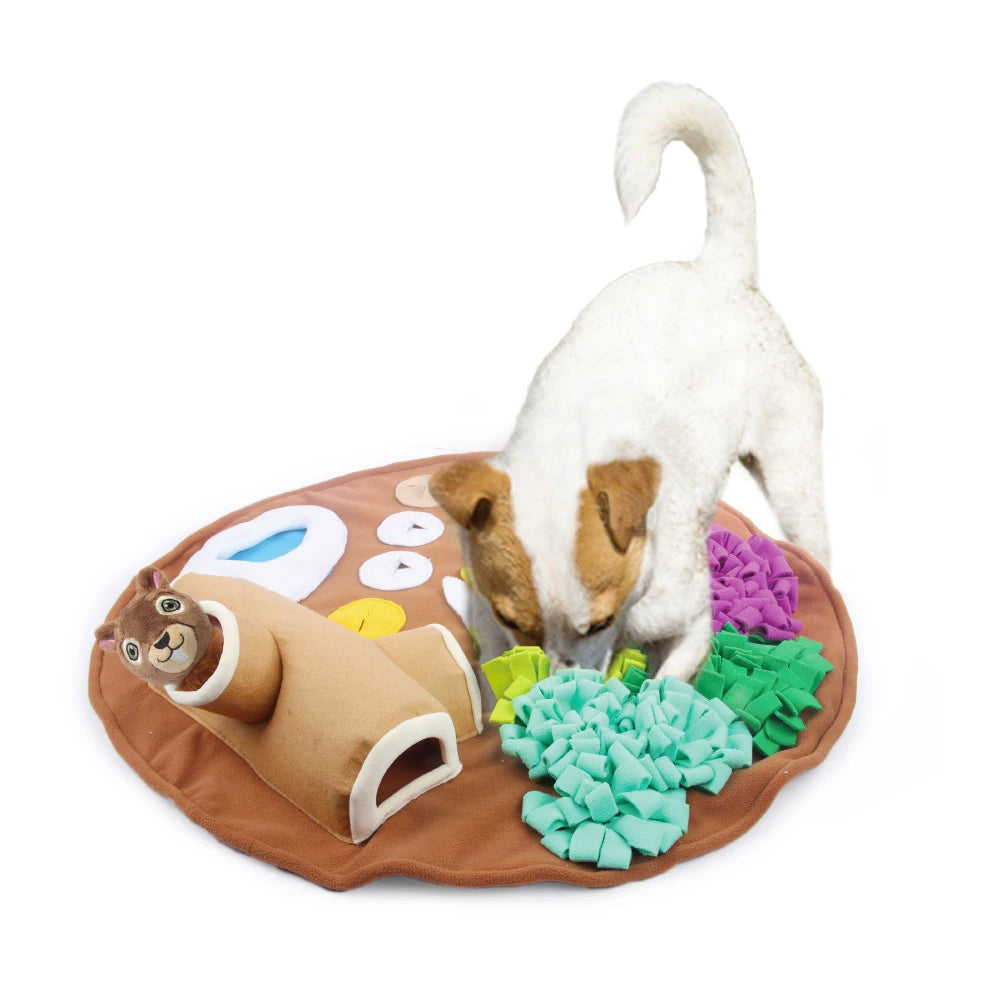 All For Paws Dig It! Fluffy Play & Treat Mat with Squirrel