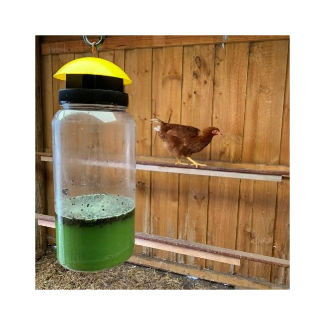 EnviroSafe Reusable Fly Trap