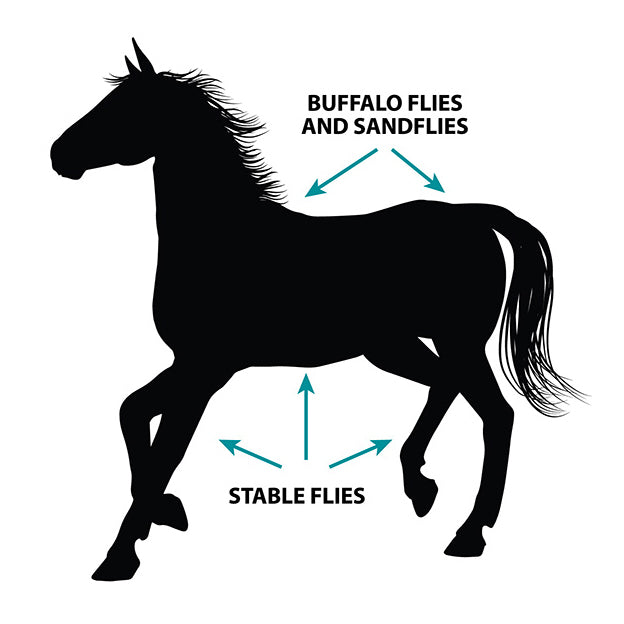 Pharmachem Flyscreen Pour-On Insecticide for Horses 120mL
