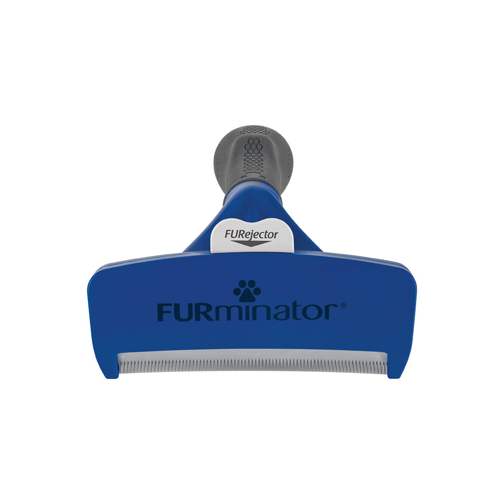 FURminator deShedding Tool for Short Haired Large Dogs