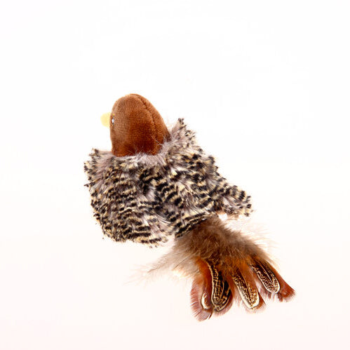 Image alt