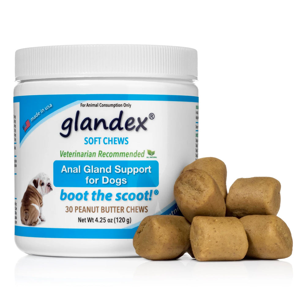 Glandex® Boot the Scoot® Anal Gland Soft Chew Dog Supplement, dog  Probiotic & Digestive