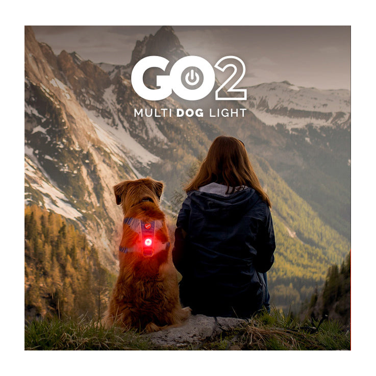 EzyDog Go-2 Dog Light