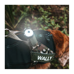 EzyDog Go-2 Dog Light