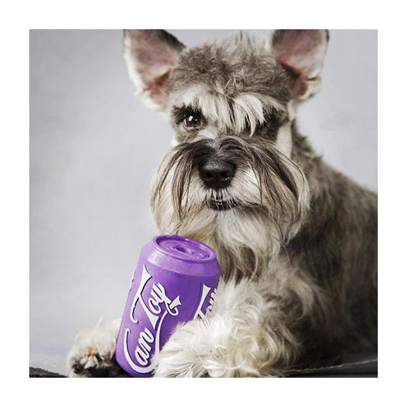 SodaPup Chew & Treat Dispensing Can Toy