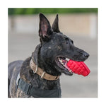 USA-K9 Grenade Rubber Treat Dispensing & Chew Toy