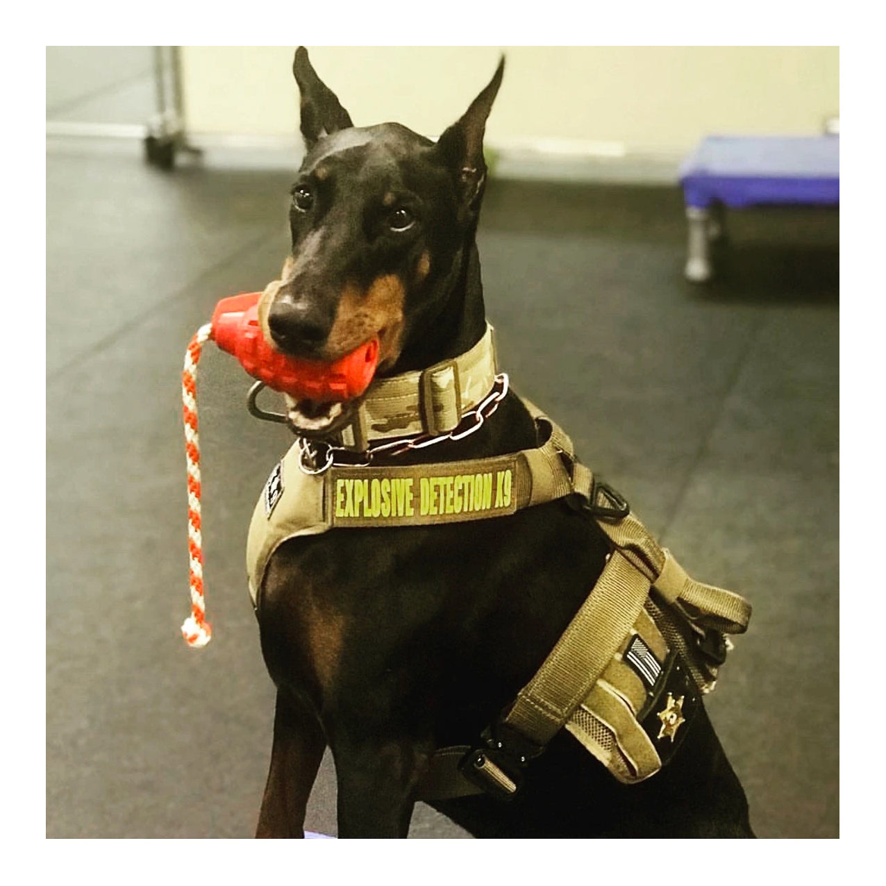 USA-K9 Grenade with Rope Chew, Tug & Treat Dispensing Toy