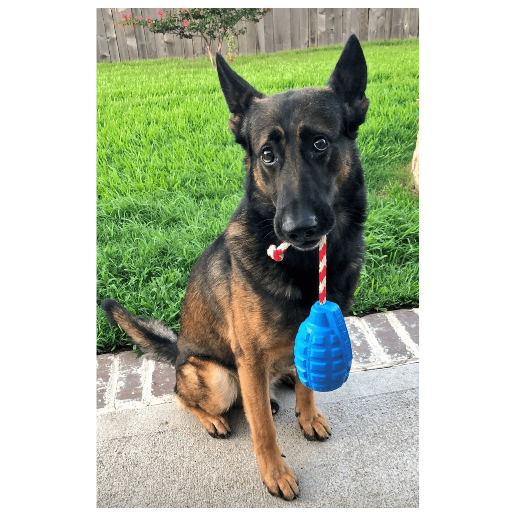 USA-K9 Grenade with Rope Chew, Tug & Treat Dispensing Toy