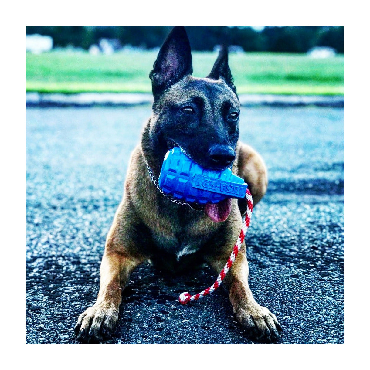 USA-K9 Grenade with Rope Chew, Tug & Treat Dispensing Toy
