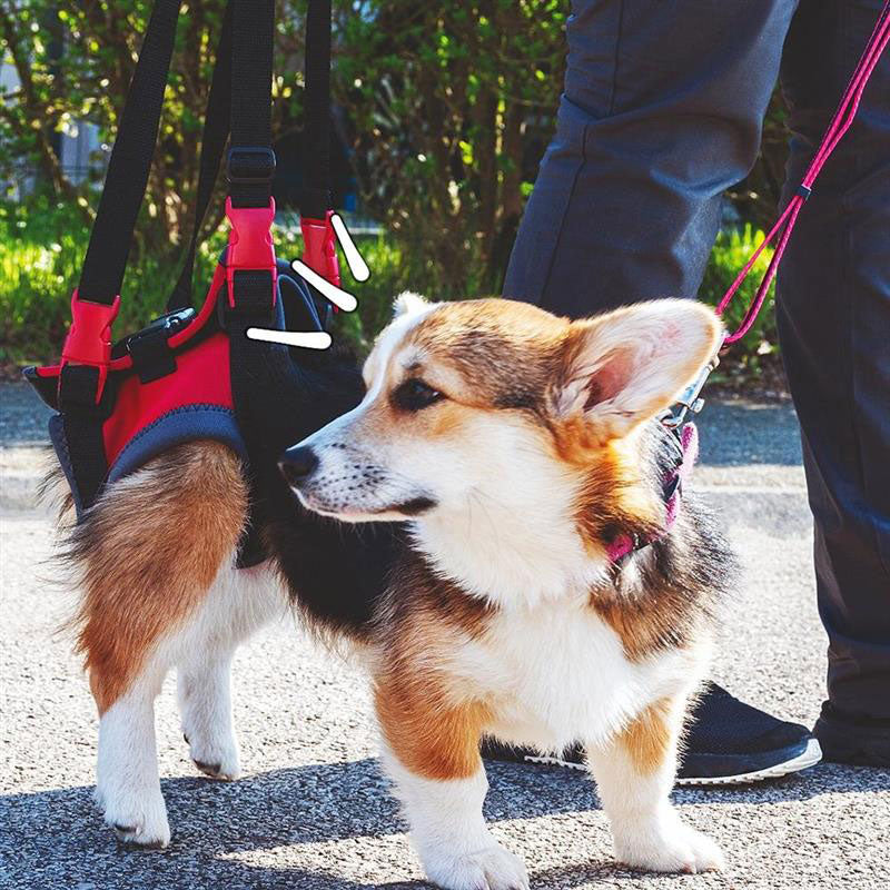 Handy Canis Hind Leg Lifting Harness for Dogs