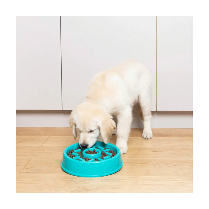 ZippyPaws Happy Bowl Slow Feeder - Donut