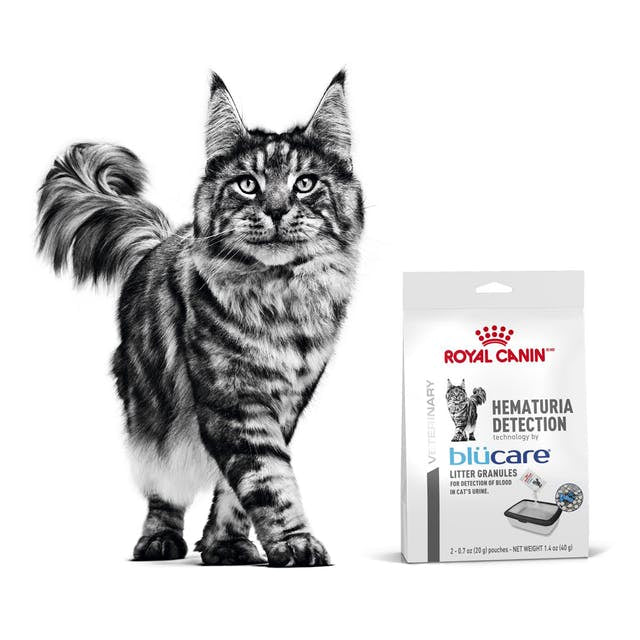 Royal Canin Hematuria Detection Litter Granules for Cats 2 x 20g