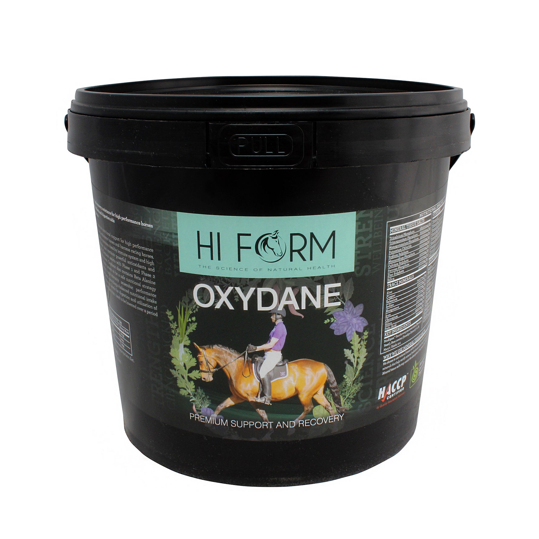 Hi Form OxyDane Premium Support & Recovery for Horses