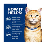 Hill's Prescription Diet Feline c/d Multicare Urinary Care Chicken & Vegetable Stew 82g x24
