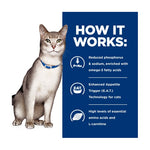 Hill's Prescription Diet Feline k/d Kidney Care Chicken & Vegetable Stew 82g x 24