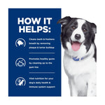 Hill's Prescription Diet Canine t/d
