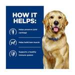 Hill's Prescription Diet Canine j/d Mobility Care