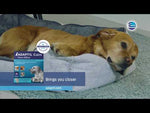 Adaptil Calm Home Diffuser Complete Kit for Dogs