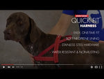 EzyDog Quick-Fit Harness
