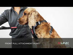EzyDog X-Link Front Clip Dog Harness
