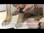 Kruuse Rehab Weighted Cuffs for Dogs - 1 Pair