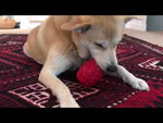 USA-K9 Grenade Rubber Treat Dispensing & Chew Toy