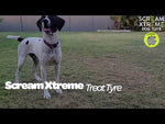 Scream Xtreme Treat Tyre