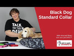 Black Dog Wear Collar - Standard