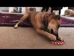 USA-K9 Cherry Bomb Chew & Tug Toy