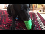 SodaPup Coffee Cup Treat Dispensing Dog Toy