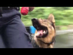 USA-K9 Magnum Grenade with Rope Chew, Tug & Treat Dispensing Toy