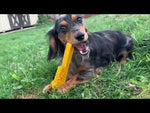 Industrial Dog Nylon Pipe Wrench Chew Dog Toy