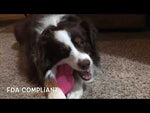 SodaPup Nylon Pink Paw Print Chew Toy