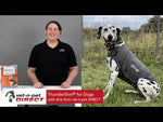 Thundershirt for Dogs