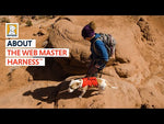 Ruffwear Web Master Dog Harness With Handle