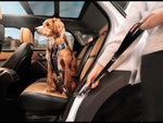 EzyDog Drive Click Leash 52cm