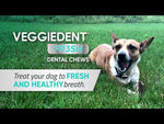 Virbac Veggiedent Dental Chews for Dogs