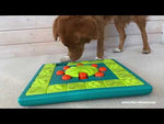 Nina Ottosson MultiPuzzle Treat Puzzle Game