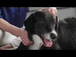 FURminator deShedding Tool for Long Haired Small Dogs